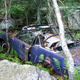 Illustration for article titled Massive Secret Mustang Junkyard Found In Rhode Island Forest